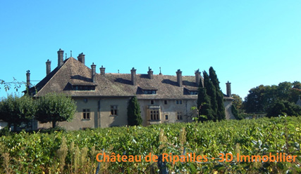 Château de Ripailles
