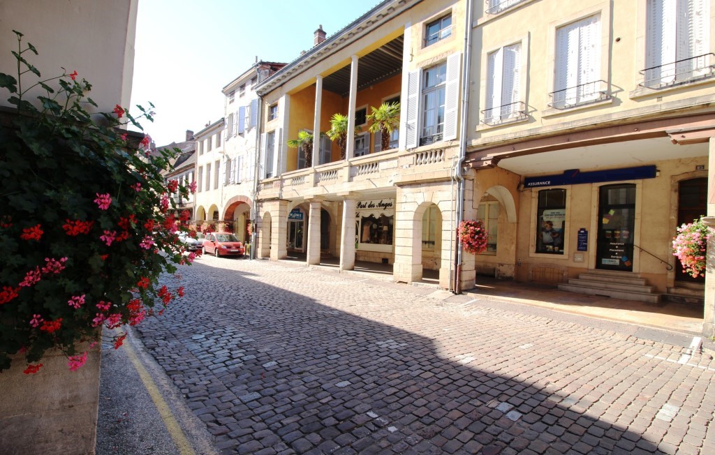 Avec 3D Immobilier suivez l'actualité immobilière sur Louhans et sa région.